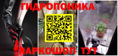 бошки Сланцы