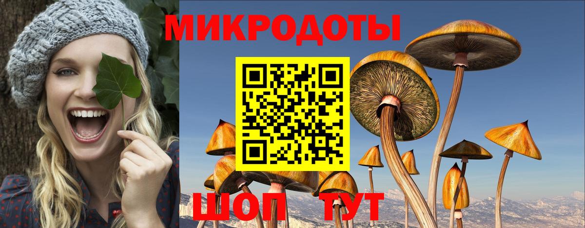Галлюциногенные грибы Psilocybe Мытищи