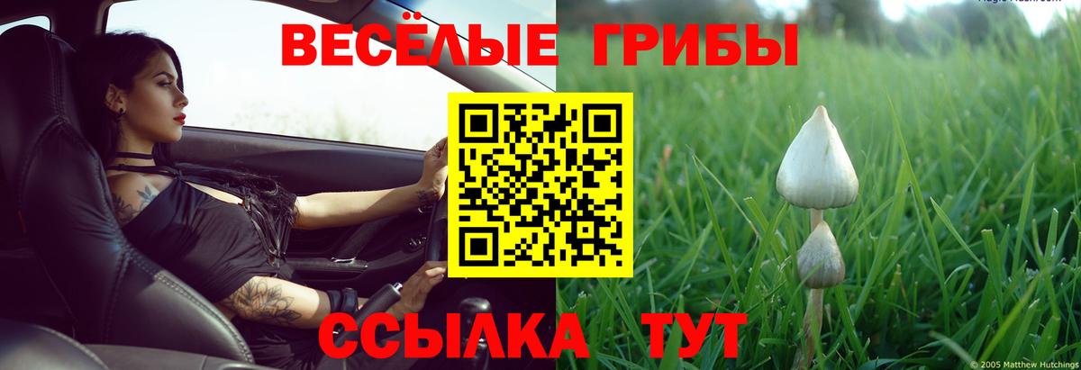 дарнет шоп  Галлюциногенные грибы Psilocybe  Вход с VPN  Мытищи 