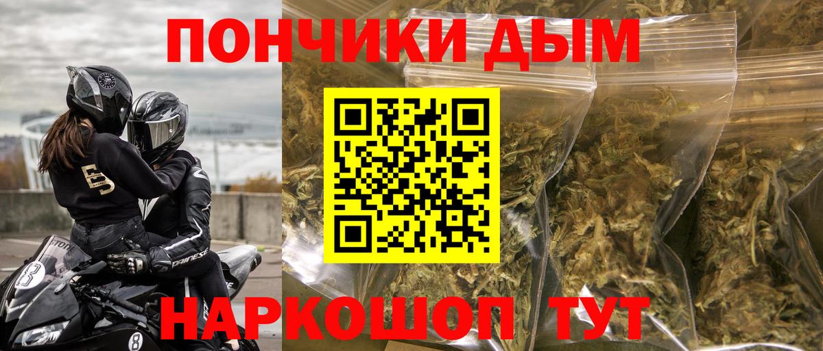 Канабис сатива Мытищи